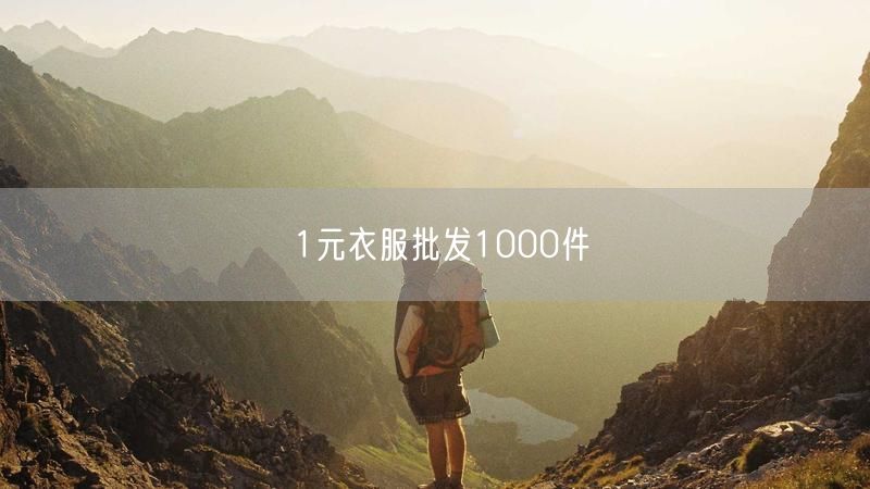 1元衣服批发1000件