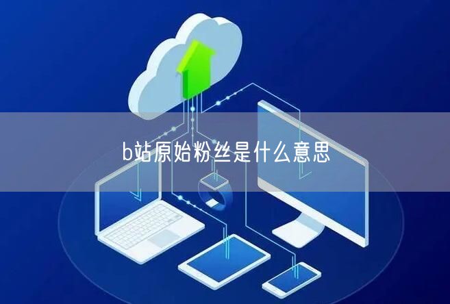 b站原始粉丝是什么意思