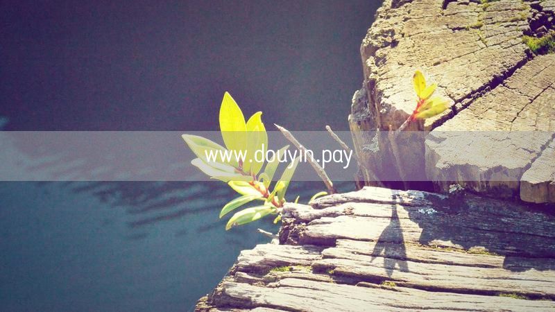www.douyin.pay