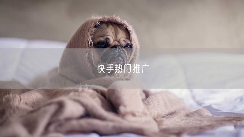 快手热门推广
