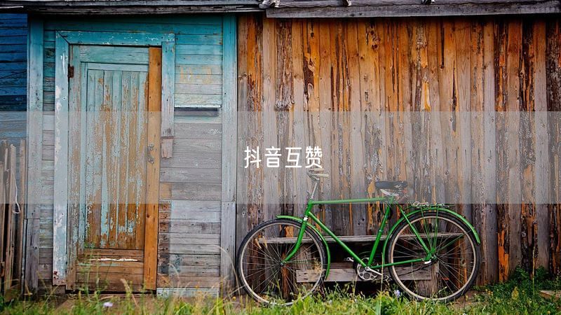 抖音互赞