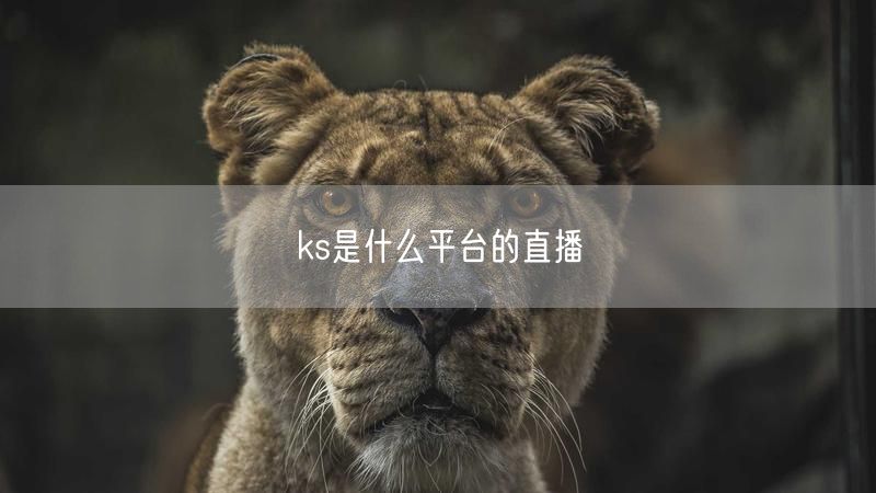 ks是什么平台的直播