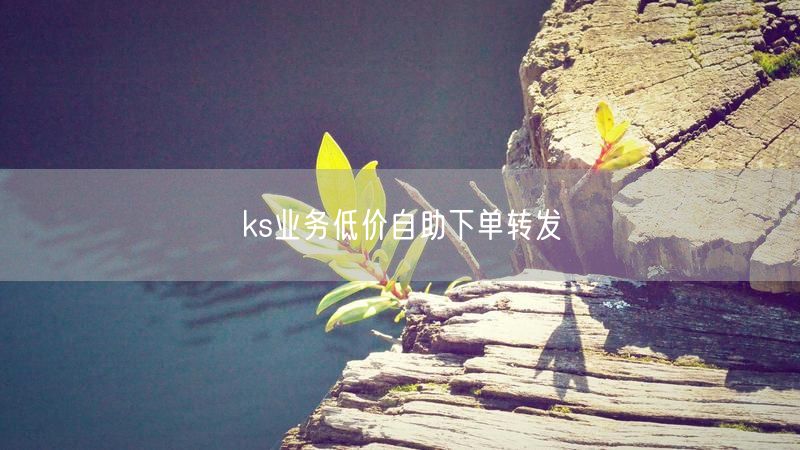 ks业务低价自助下单转发