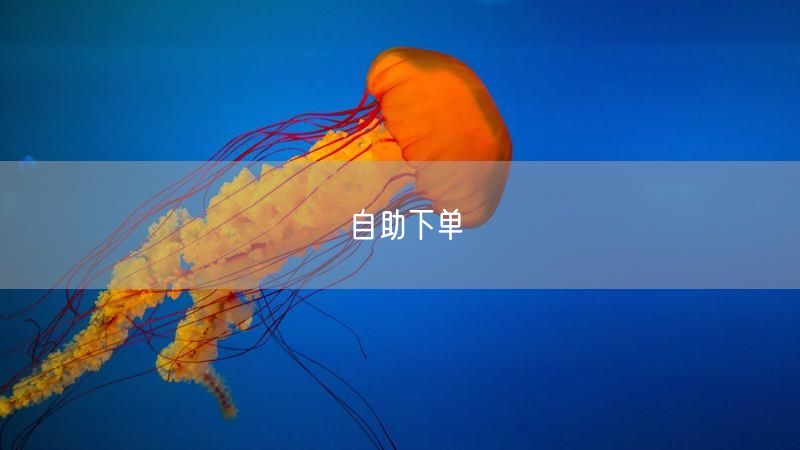 自助下单