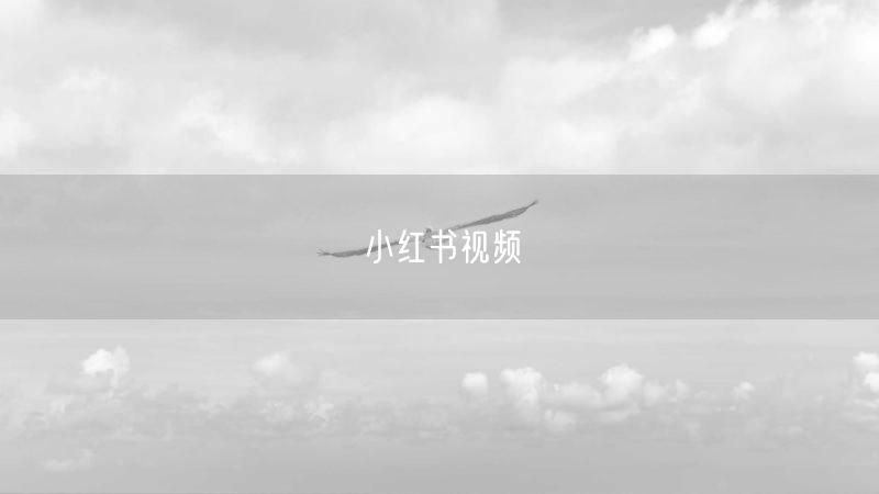 小红书视频
