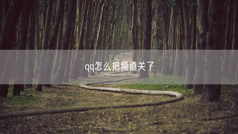 qq怎么把频道关了