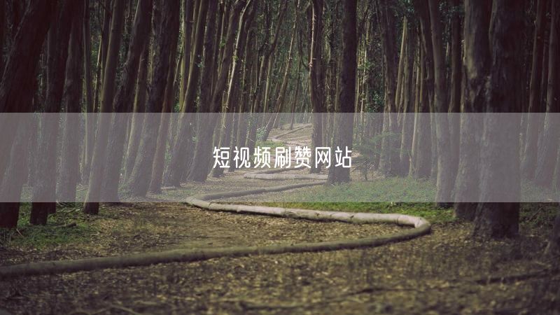 短视频刷赞网站
