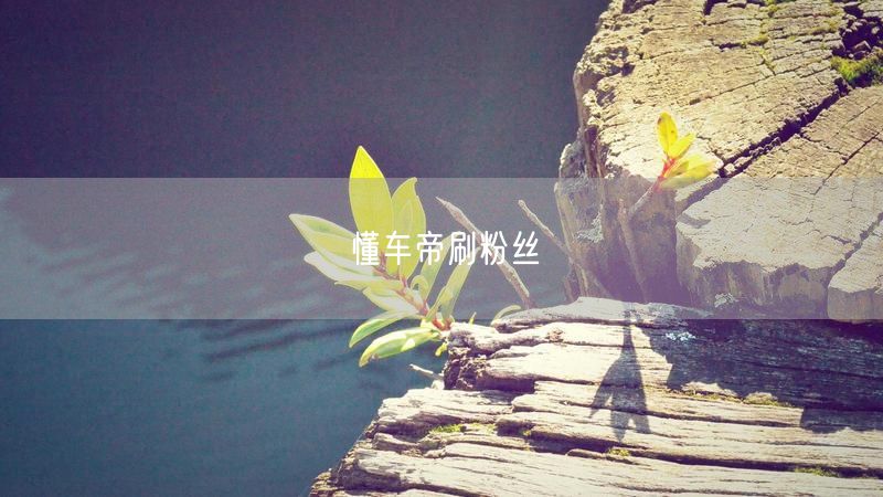 懂车帝刷粉丝