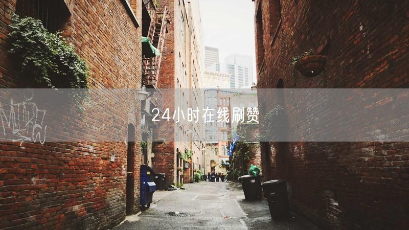 24小时在线刷赞