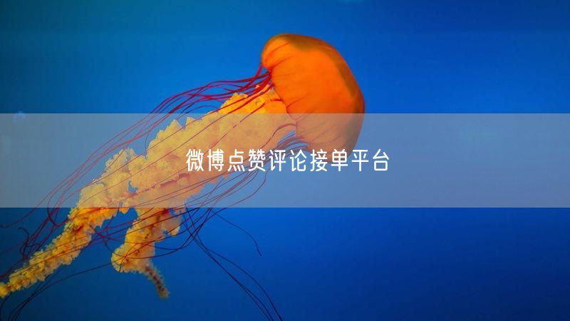 微博点赞评论接单平台