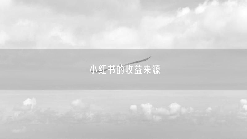 小红书的收益来源