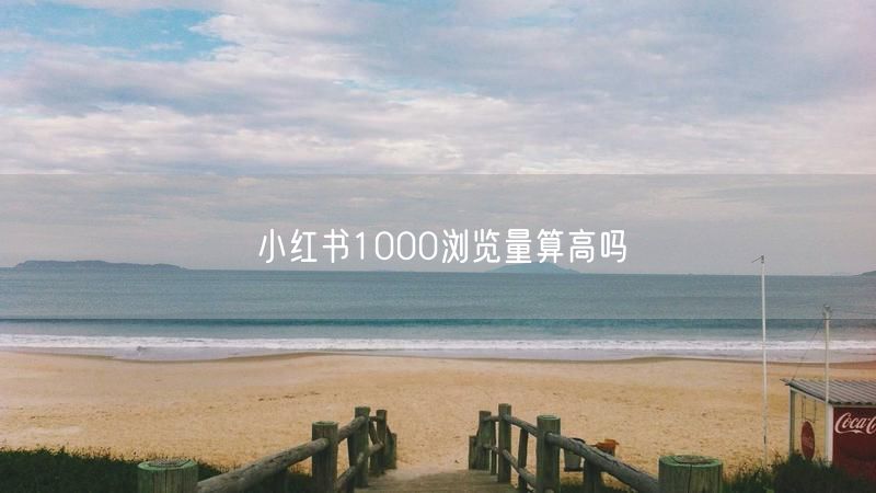 小红书1000浏览量算高吗