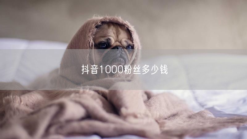 抖音1000粉丝多少钱