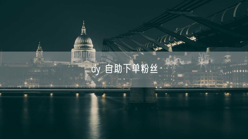 dy 自助下单粉丝