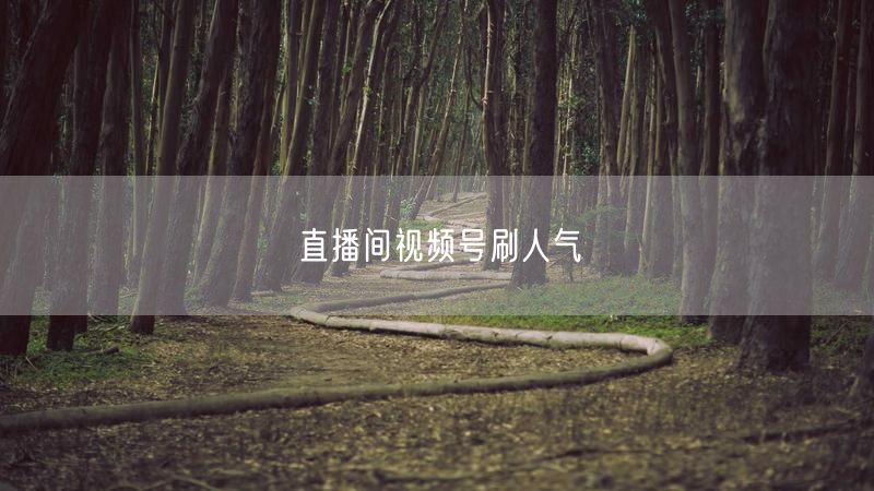直播间视频号刷人气