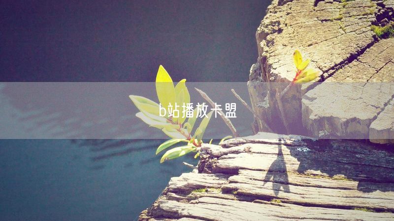 b站播放卡盟