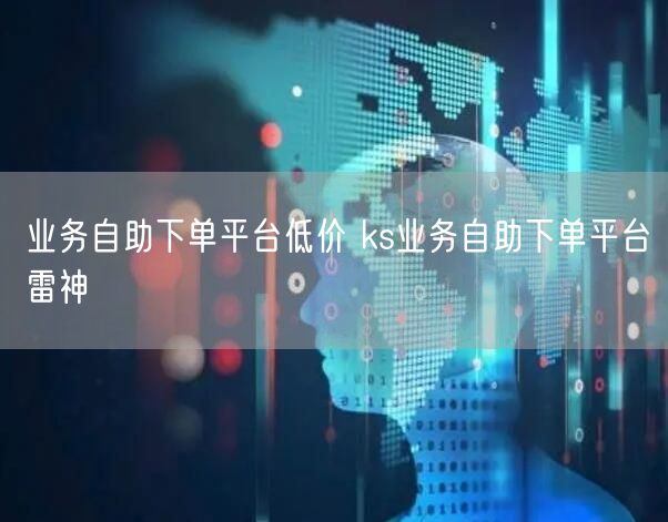 业务自助下单平台低价 ks业务自助下单平台雷神