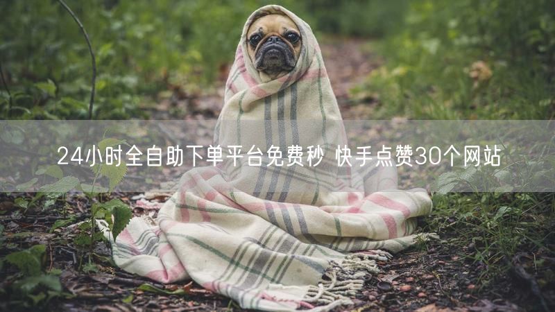 24小时全自助下单平台免费秒 快手点赞30个网站