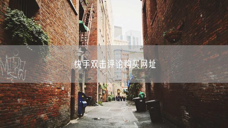 快手双击评论购买网址