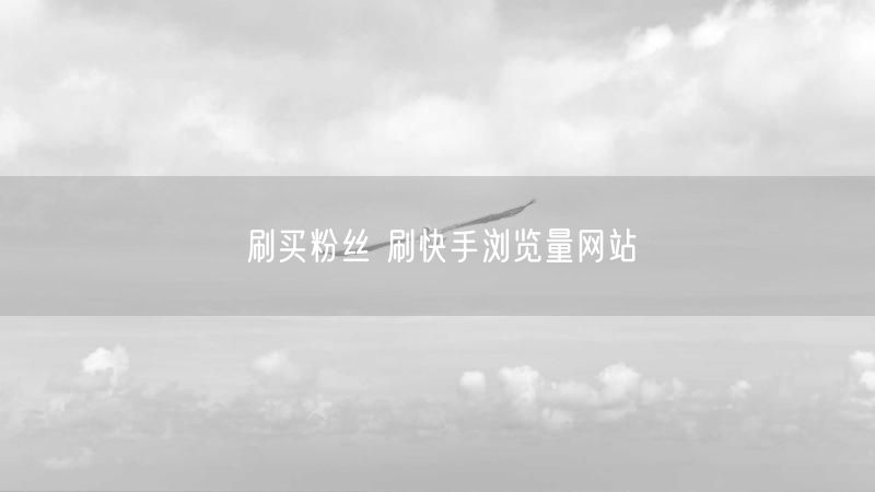 刷买粉丝 刷快手浏览量网站