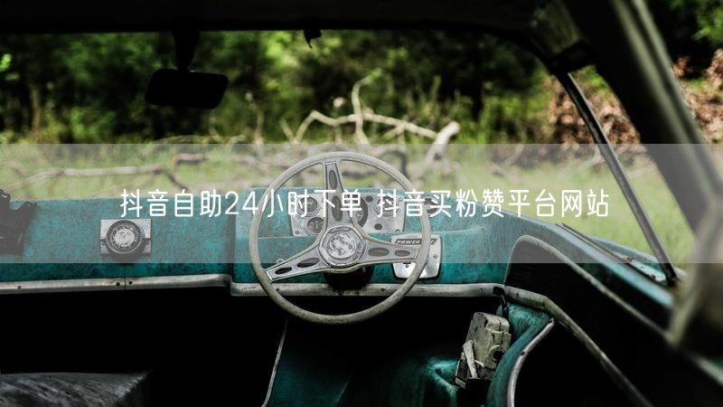 抖音自助24小时下单 抖音买粉赞平台网站