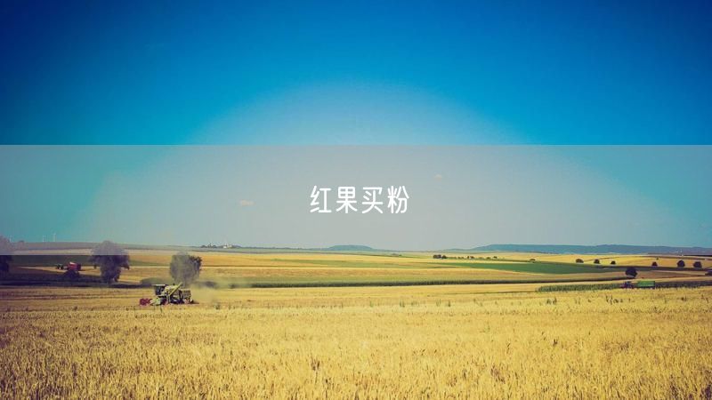 红果买粉