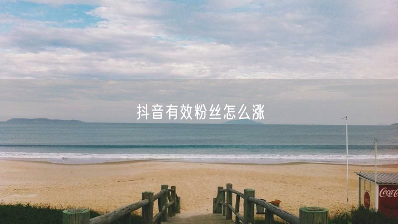 抖音有效粉丝怎么涨
