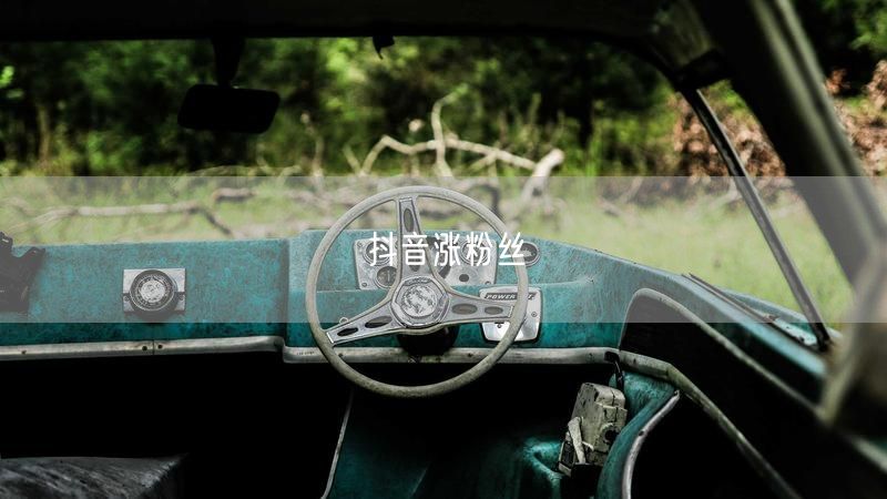 抖音涨粉丝