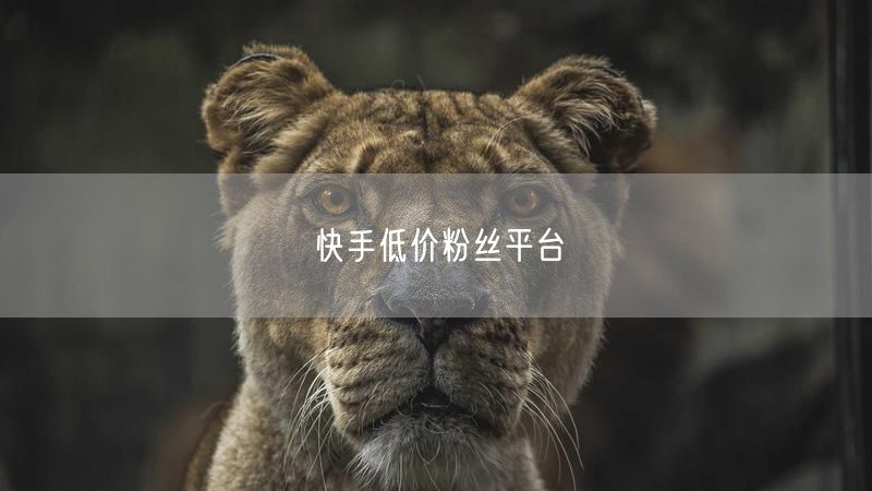 快手低价粉丝平台
