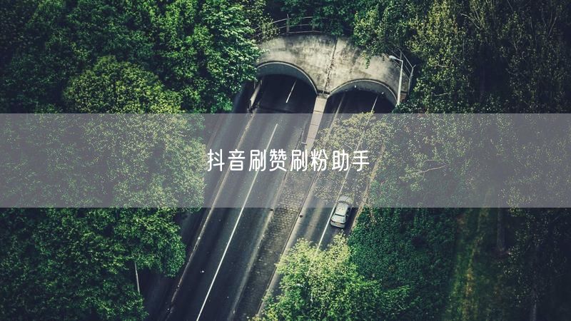 抖音刷赞刷粉助手