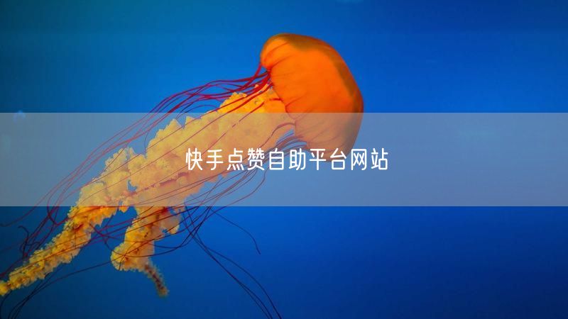 快手点赞自助平台网站