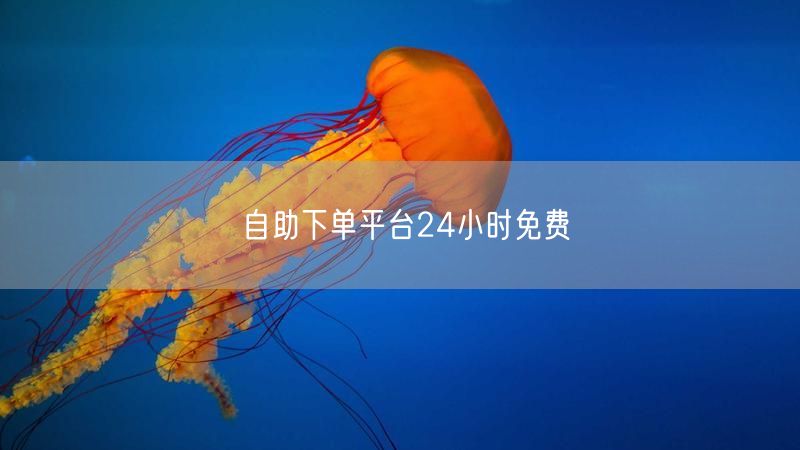自助下单平台24小时免费