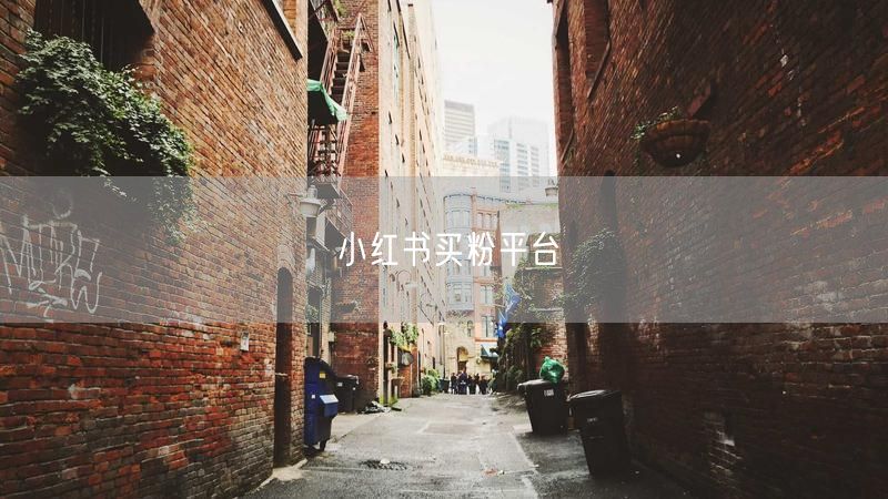 小红书买粉平台