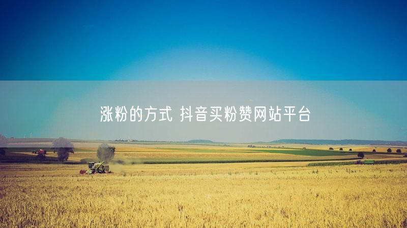 涨粉的方式 抖音买粉赞网站平台