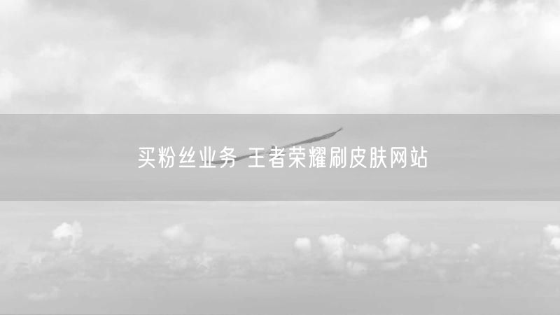 买粉丝业务 王者荣耀刷皮肤网站