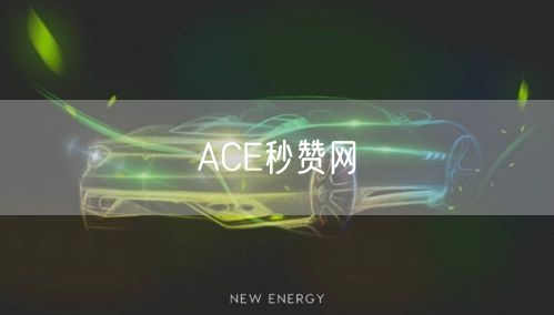 ACE秒赞网