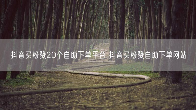 抖音买粉赞20个自助下单平台 抖音买粉赞自助下单网站