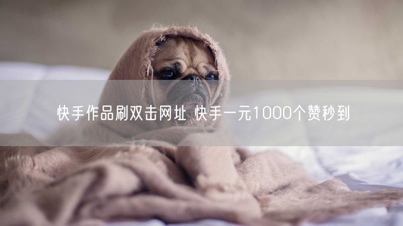 快手作品刷双击网址 快手一元1000个赞秒到