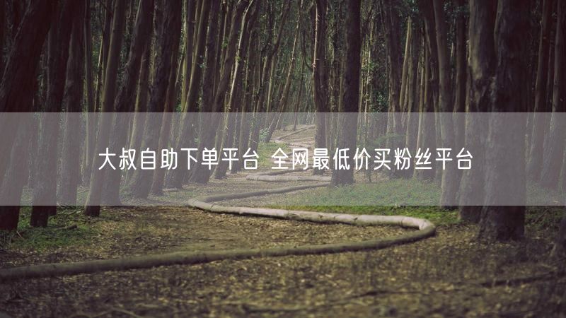 大叔自助下单平台 全网最低价买粉丝平台