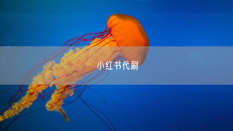 小红书代刷