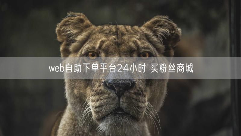 web自助下单平台24小时 买粉丝商城