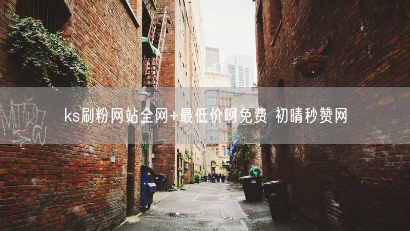 ks刷粉网站全网+最低价啊免费 初晴秒赞网