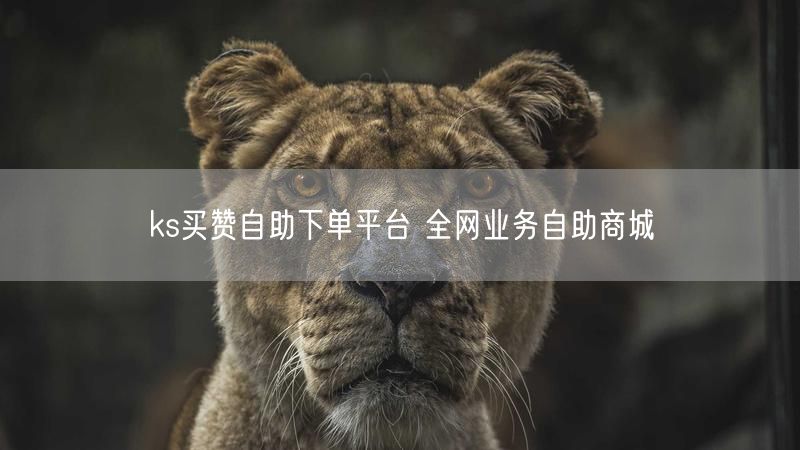 ks买赞自助下单平台 全网业务自助商城