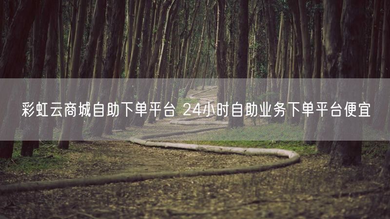 彩虹云商城自助下单平台 24小时自助业务下单平台便宜