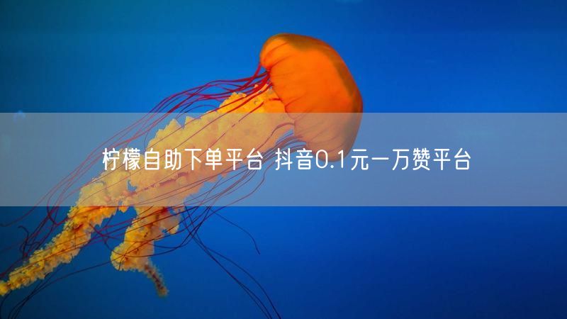 柠檬自助下单平台 抖音0.1元一万赞平台