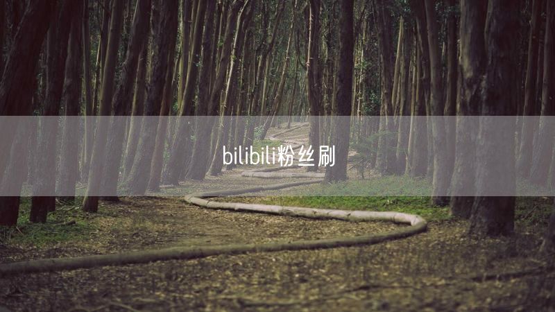 bilibili粉丝刷