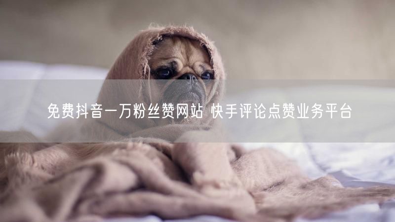 免费抖音一万粉丝赞网站 快手评论点赞业务平台