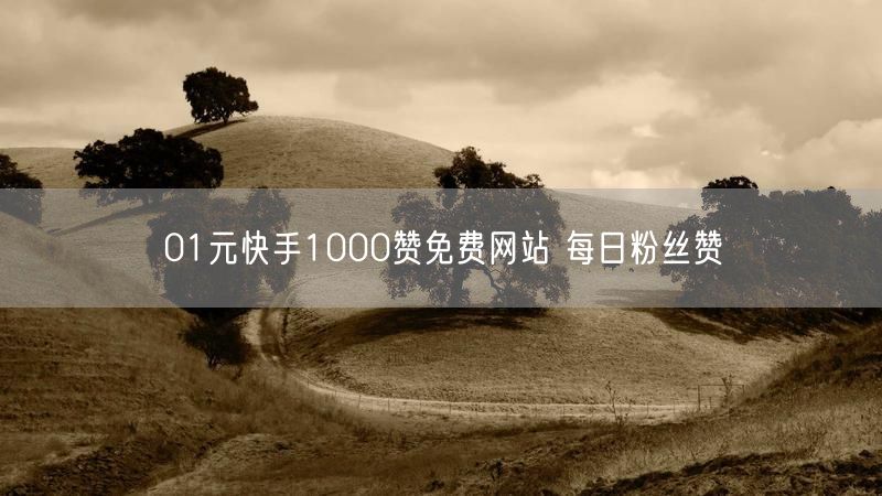 01元快手1000赞免费网站 每日粉丝赞