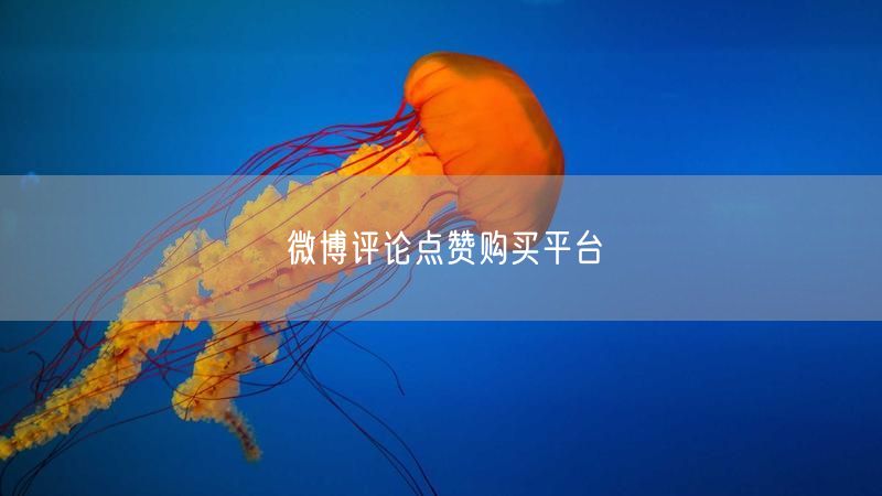 微博评论点赞购买平台