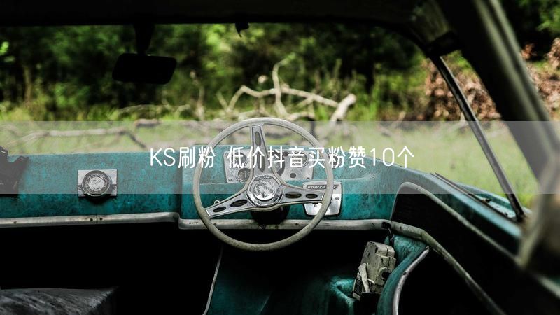KS刷粉 低价抖音买粉赞10个